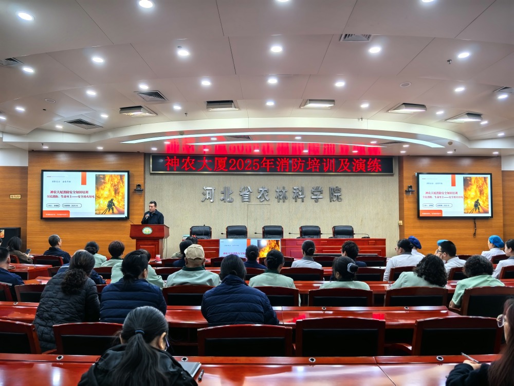 1762400497254.jpg 1_副本.jpg