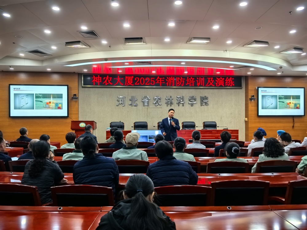 1762400503141.jpg 2_副本.jpg