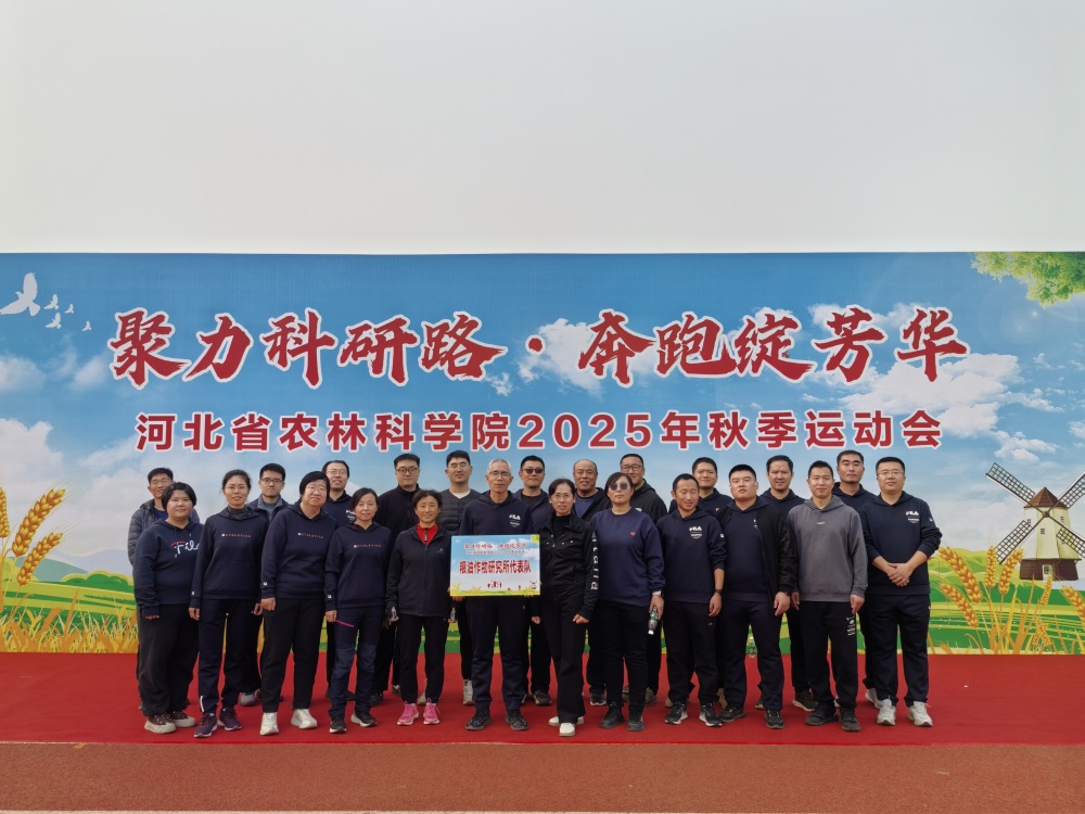 1762482668226.jpg 9_副本.jpg