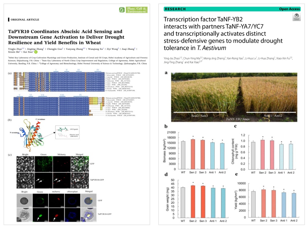 1764742334324.jpg 111122222_副本.jpg