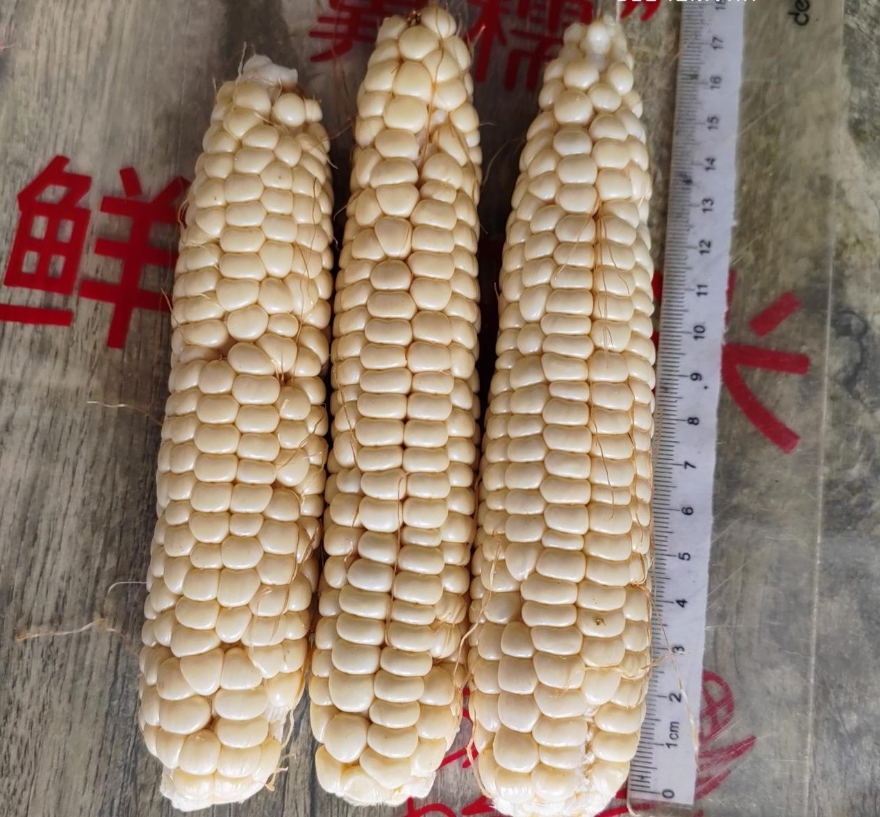 1764813450400.jpg 图片1_副本.jpg