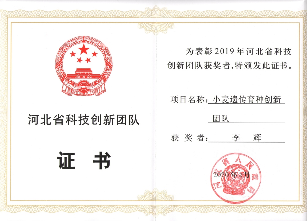 小麦科技创新团队证书2019_副本.jpg