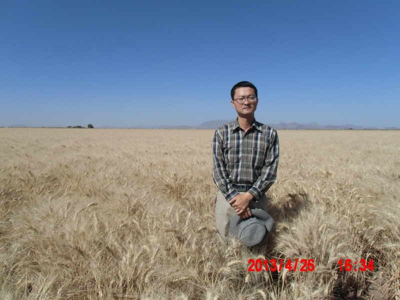 1765936385711.jpg 1765848690047_副本.jpg