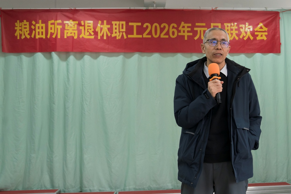 1767076353253.jpg 10.jpg