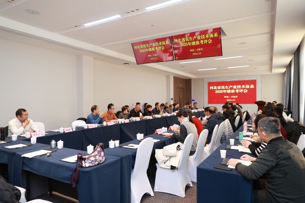 1769151079613.jpg 1_副本.jpg