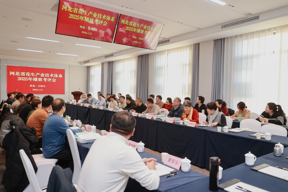 1769151093890.jpg 3_副本.jpg