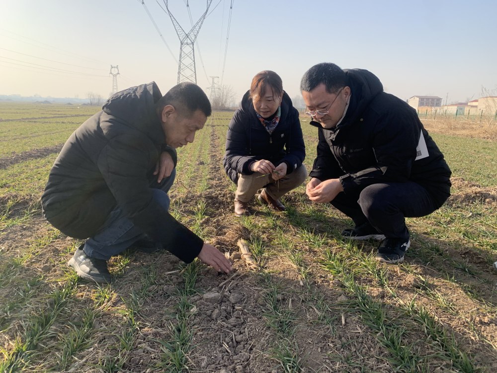 1770965906527.jpg 1_副本.jpg