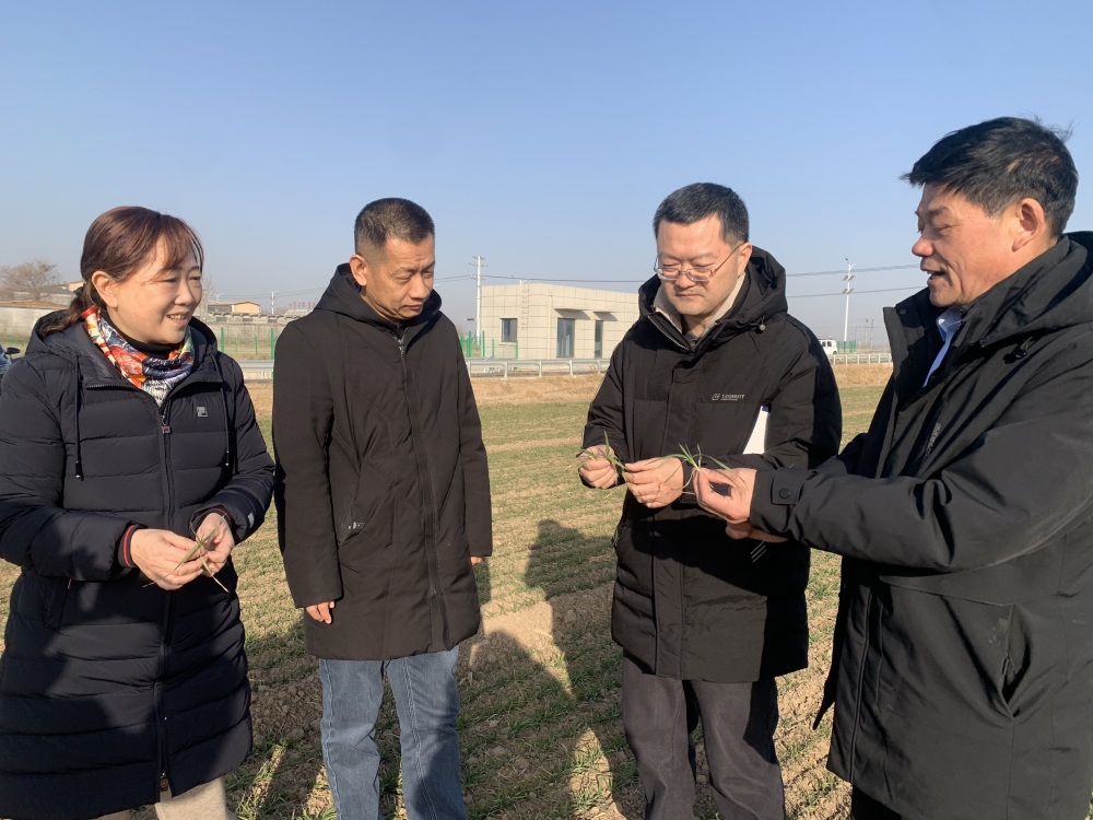 1770965912448.jpg 2_副本.jpg