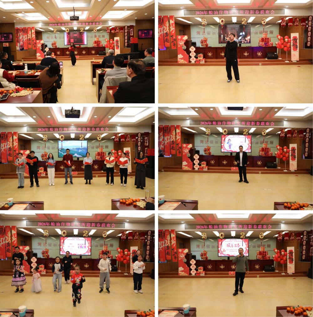 1771901667467.jpg 2_副本.jpg