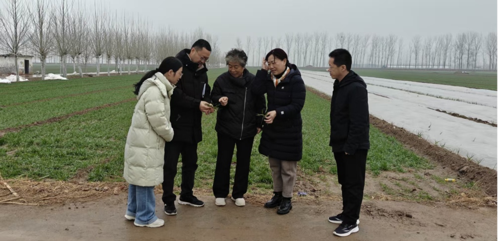 1773105694207.jpg 图片1_副本.jpg