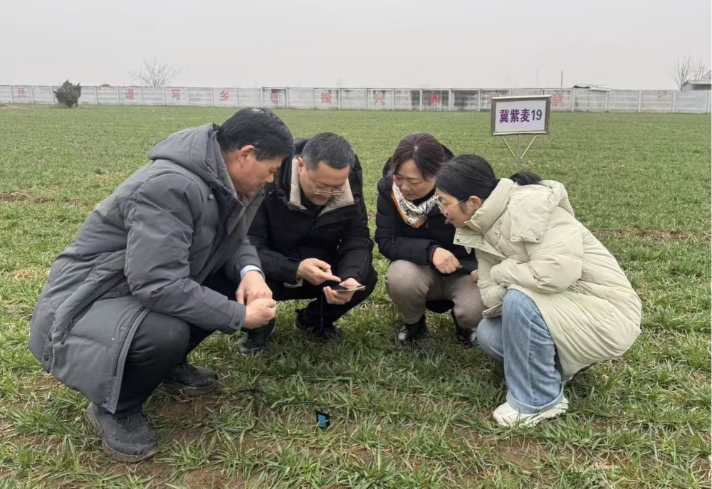 1773105700613.jpg 图片2_副本.jpg