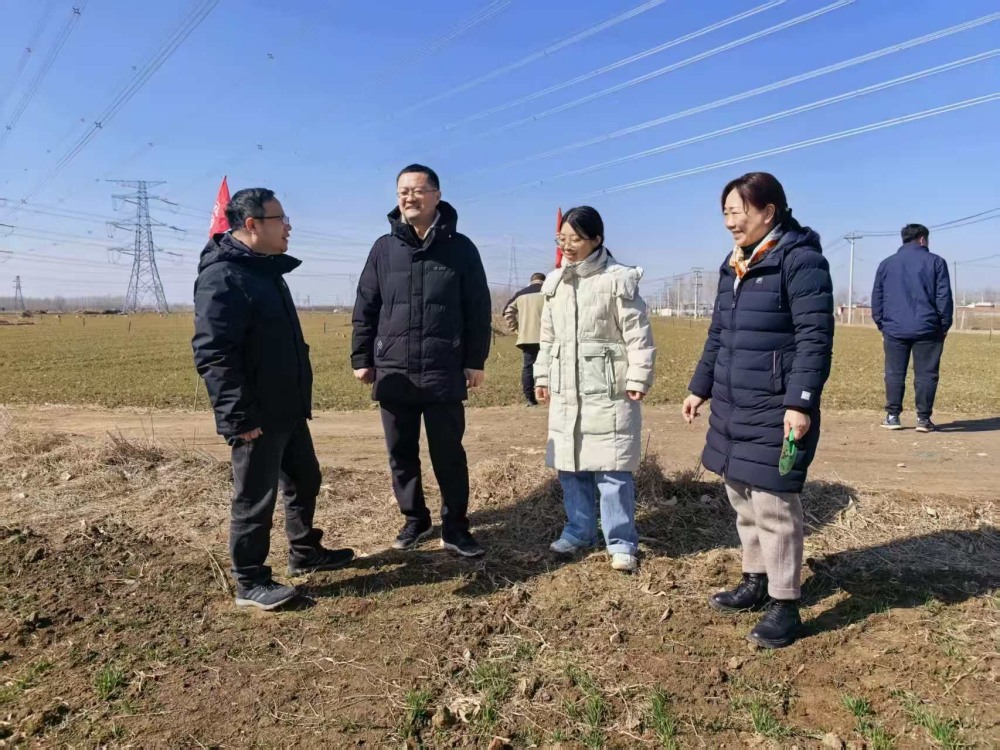 1773105709382.jpg 图片3_副本.jpg