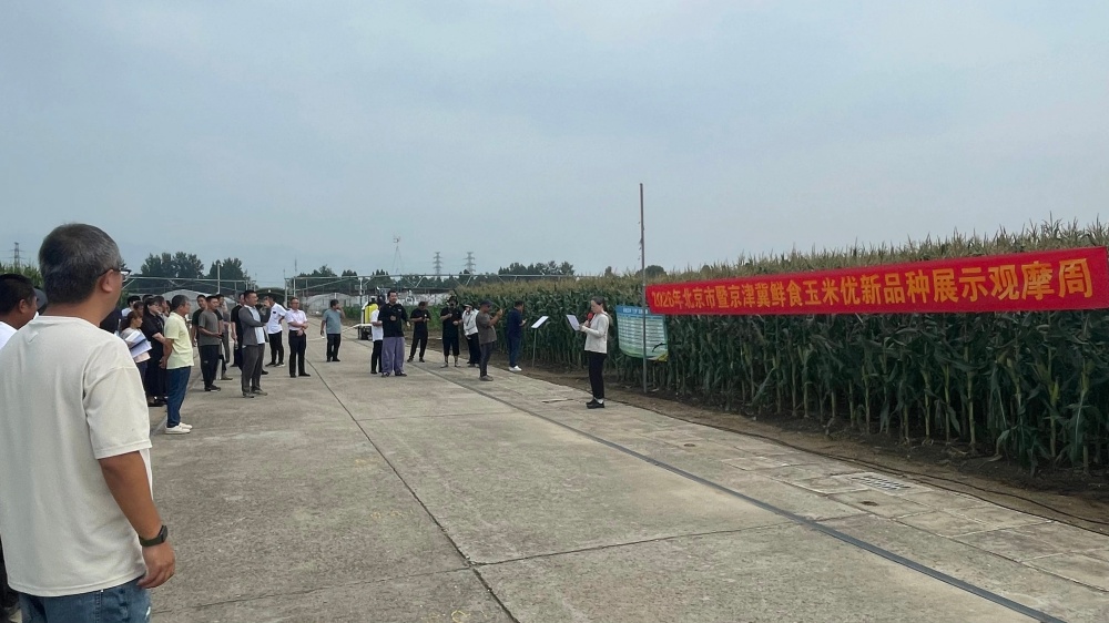 1785399131835.jpg 图片2_副本.jpg