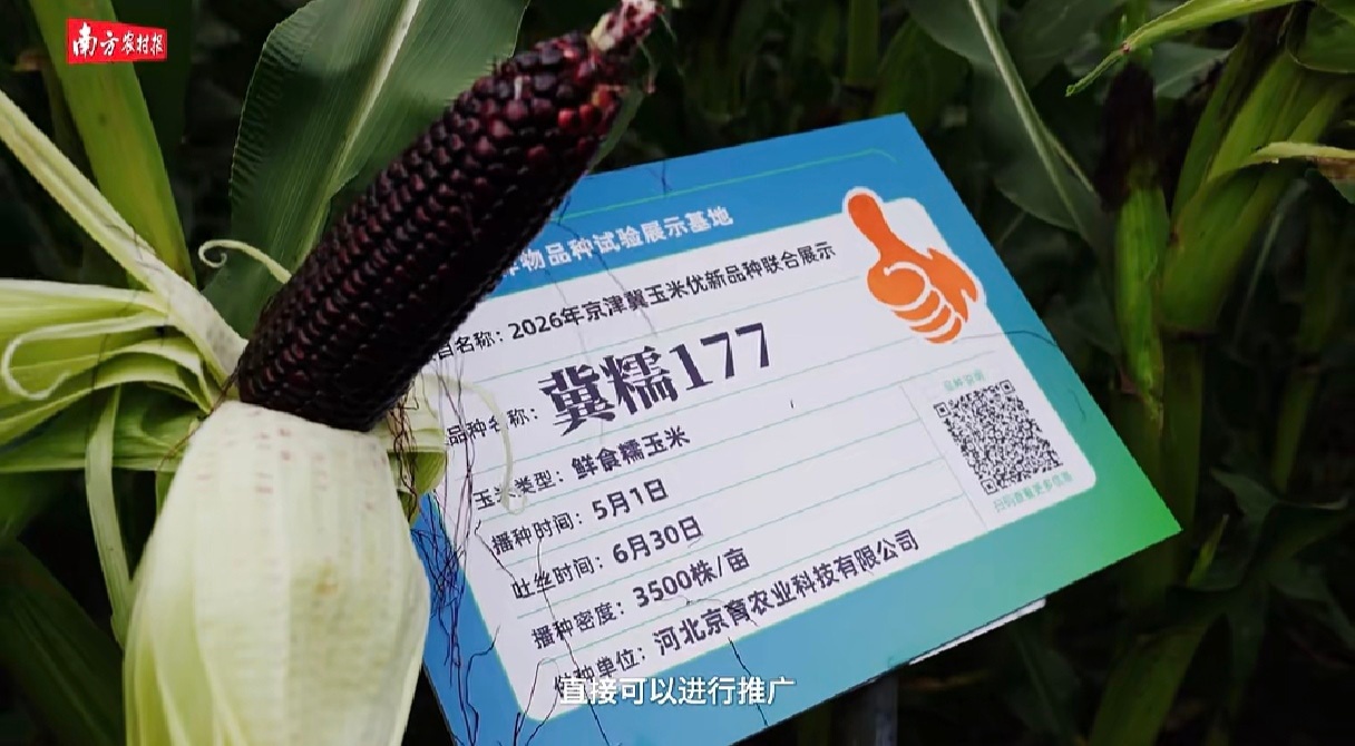 1785399137756.jpg 图片3_副本.jpg
