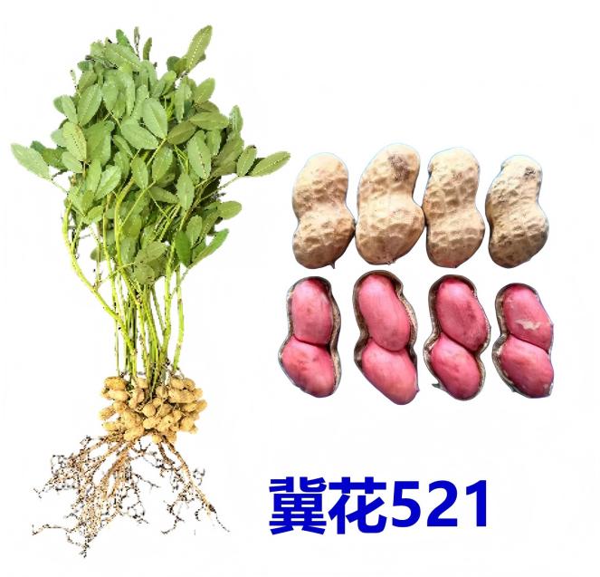 a832da45904cdd98dc04708ce5dae64b.jpg