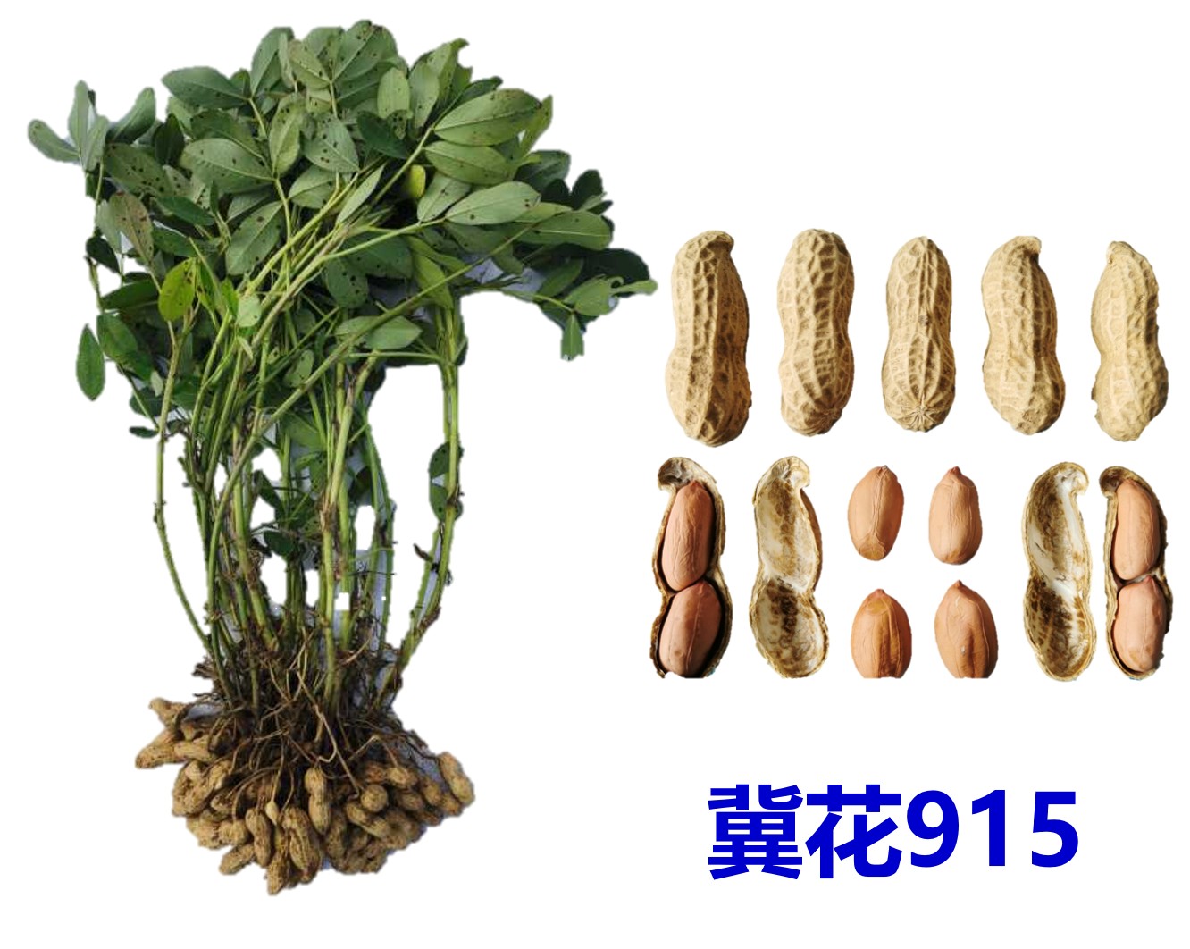 86f2ab031f9da7a1c4ce02a4e8500c71.jpg