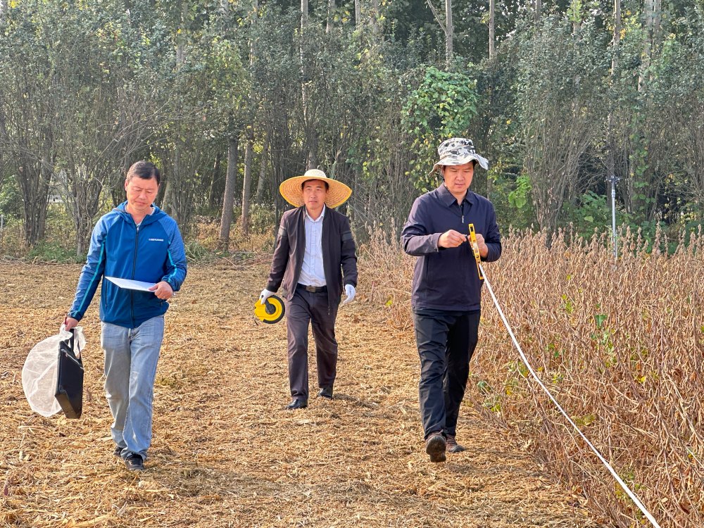 2_副本.jpg